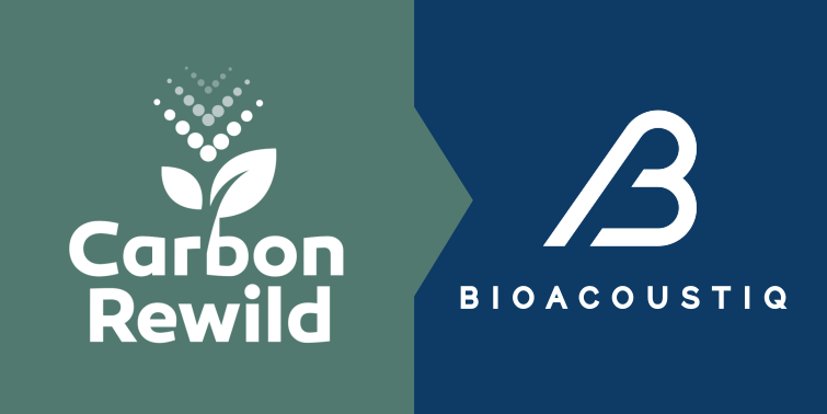 carbon rewild to bioacoustiq rebrand biodiversity monitoring bioacoustics